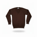 MagicFit V Neck Cotton/Acrylic V Neck Jumper - Brown
