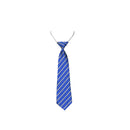 Ferrybank Girls Tie Elastic