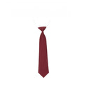 Elastic Maroon Tie