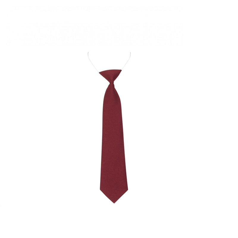 Elastic Maroon Tie